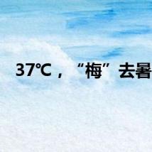 37℃，“梅”去暑来