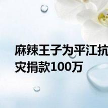 麻辣王子为平江抗洪救灾捐款100万