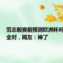 范志毅赛前预测欧洲杯8强席位全对,网友:神了