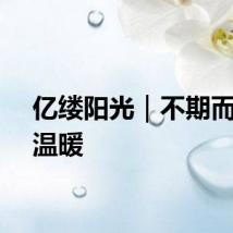亿缕阳光｜不期而遇的温暖