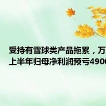受持有雪球类产品拖累,万业企业上半年归母净利润预亏4900万元