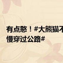 有点憨!#大熊猫不紧不慢穿过公路#
