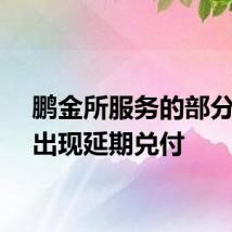 鹏金所服务的部分产品出现延期兑付