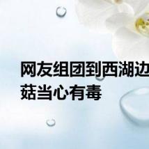 网友组团到西湖边采蘑菇当心有毒