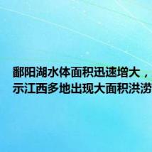 鄱阳湖水体面积迅速增大,卫星显示江西多地出现大面积洪涝