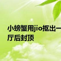小螃蟹用jio抠出一室一厅后封顶