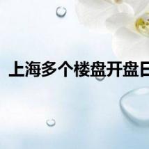 上海多个楼盘开盘日光