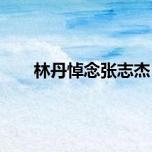 林丹悼念张志杰