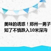 美味的诱惑！郑州一男子深夜抓知了不慎跌入10米深沟