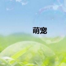 萌宠