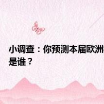 小调查:你预测本届欧洲杯冠军是谁?