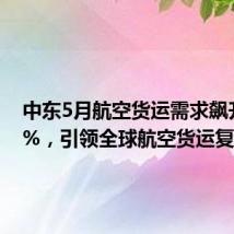 中东5月航空货运需求飙升15.3%，引领全球航空货运复苏