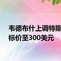 韦德布什上调特斯拉目标价至300美元