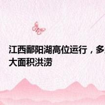 江西鄱阳湖高位运行,多地出现大面积洪涝