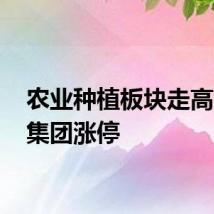 农业种植板块走高 东方集团涨停