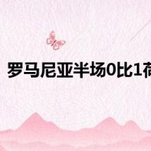 罗马尼亚半场0比1荷兰