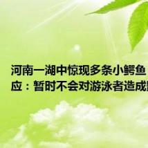 河南一湖中惊现多条小鳄鱼 专家回应：暂时不会对游泳者造成影响