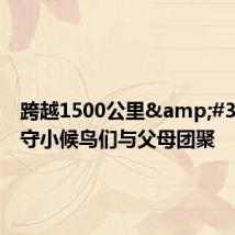 跨越1500公里 送留守小候鸟们与父母团聚