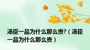 汤臣一品为什么那么贵?（汤臣一品为什么那么贵）
