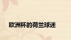 欧洲杯的荷兰球迷