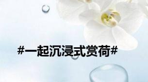 #一起沉浸式赏荷#