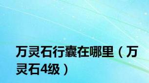 万灵石行囊在哪里（万灵石4级）