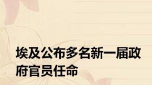 埃及公布多名新一届政府官员任命