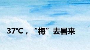 37℃，“梅”去暑来