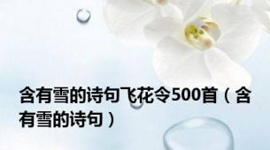 含有雪的诗句飞花令500首（含有雪的诗句）