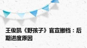 王俊凯《野孩子》官宣撤档：后期进度原因