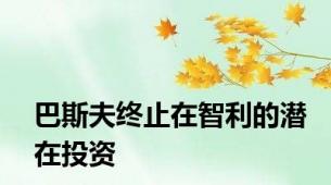 巴斯夫终止在智利的潜在投资