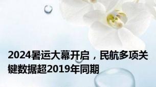 2024暑运大幕开启，民航多项关键数据超2019年同期