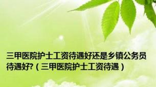 三甲医院护士工资待遇好还是乡镇公务员待遇好?（三甲医院护士工资待遇）