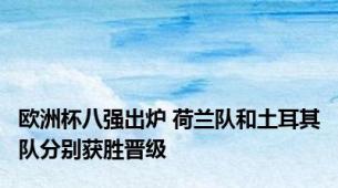 欧洲杯八强出炉 荷兰队和土耳其队分别获胜晋级