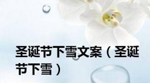 圣诞节下雪文案（圣诞节下雪）