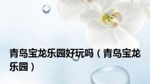 青岛宝龙乐园好玩吗（青岛宝龙乐园）