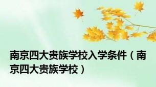 南京四大贵族学校入学条件（南京四大贵族学校）