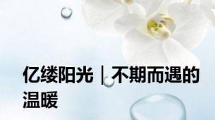 亿缕阳光｜不期而遇的温暖