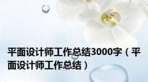 平面设计师工作总结3000字（平面设计师工作总结）
