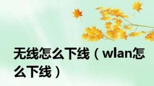 无线怎么下线（wlan怎么下线）