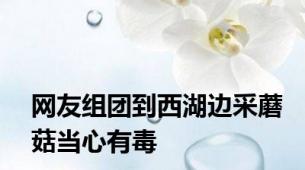 网友组团到西湖边采蘑菇当心有毒