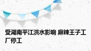 受湖南平江洪水影响 麻辣王子工厂停工