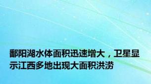 鄱阳湖水体面积迅速增大，卫星显示江西多地出现大面积洪涝