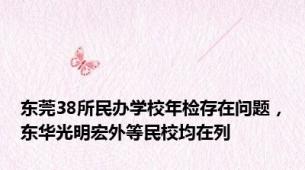 东莞38所民办学校年检存在问题，东华光明宏外等民校均在列