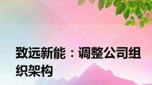 致远新能：调整公司组织架构