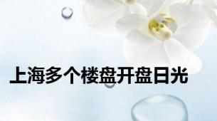 上海多个楼盘开盘日光