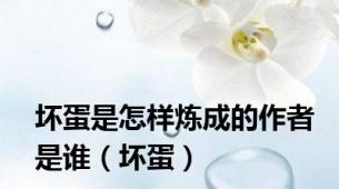坏蛋是怎样炼成的作者是谁（坏蛋）