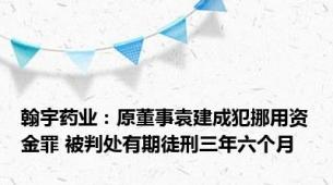 翰宇药业：原董事袁建成犯挪用资金罪 被判处有期徒刑三年六个月