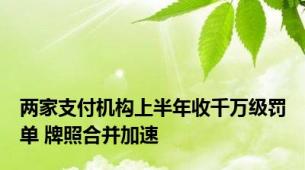 两家支付机构上半年收千万级罚单 牌照合并加速