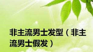 非主流男士发型（非主流男士假发）